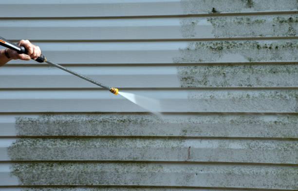 Best Deck Pressure Washing  in Louisa, VA