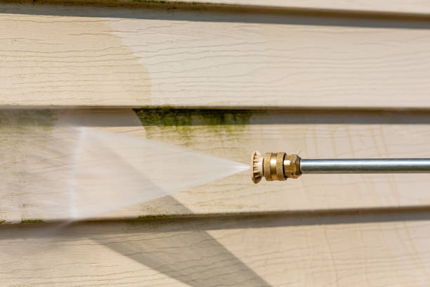 Best Pressure Washing Services Near Me  in Louisa, VA